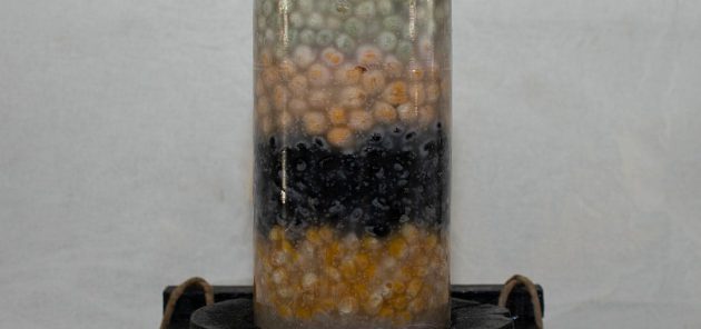 velas-decorativas-IMG-20230821-WA0338